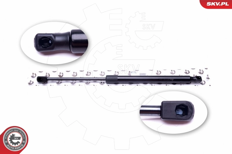 Gas Spring, boot/cargo area